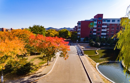 山東科技大學繼續(xù)教育學院