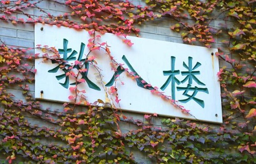 北京師范大學(xué)網(wǎng)絡(luò)教育學(xué)院