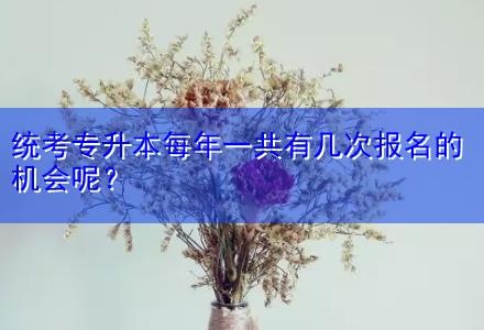 統(tǒng)考專升本每年一共有幾次報名的機(jī)會呢？