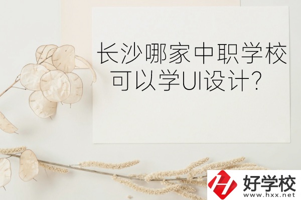 長沙哪家中職學(xué)校可以學(xué)UI設(shè)計(jì)？