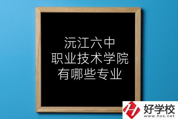 湖南沅江六中職業(yè)技術學院有哪些專業(yè)？