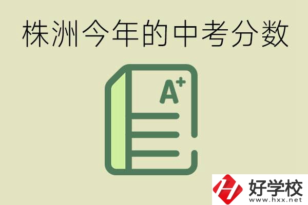 株洲今年中考多少分能上高中？沒考上有什么選擇？