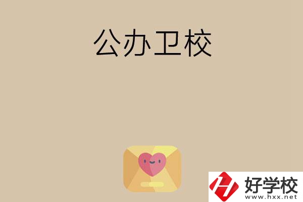 想在湖南上公辦衛(wèi)校？這所學(xué)校值得一看