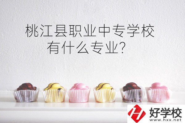 桃江縣職業(yè)中專學校到底好不好？有什么專業(yè)？