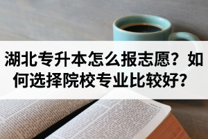 湖北省專升本怎么報志愿？如何選擇填報院校專業(yè)比較好？