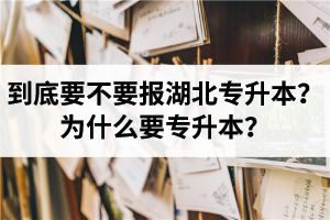 到底要不要報湖北專升本？為什么要專升本？