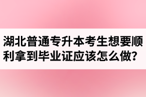 湖北普通專升本考生想要順利拿到畢業(yè)證應該怎么做？