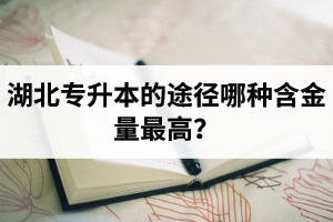 湖北普通專升本英譯漢段落翻譯分析應(yīng)該怎么做？