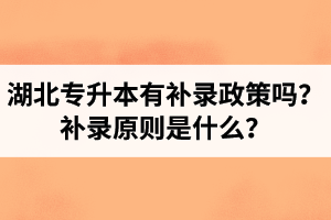 湖北專升本有補(bǔ)錄政策嗎？補(bǔ)錄原則是什么？