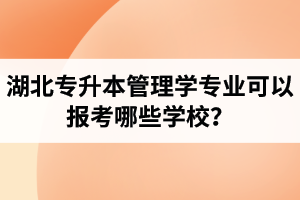 湖北專升本管理學(xué)專業(yè)可以報(bào)考哪些學(xué)校？屬于管理學(xué)的專業(yè)有哪些？