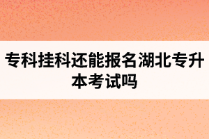 ?？茠炜七€能報名湖北專升本考試嗎？在哪里能獲取最新的專升本資訊？