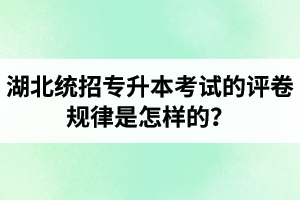 湖北統(tǒng)招專升本考試的評卷規(guī)律是怎樣的？怎么避免丟失細(xì)節(jié)分？