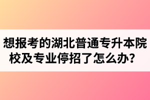 想報考的湖北普通專升本院校及專業(yè)停招了怎么辦？