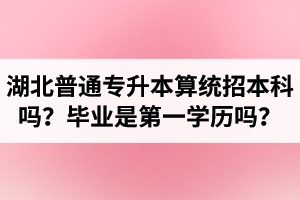 湖北普通專升本算統(tǒng)招本科嗎？專升本學(xué)歷是第一學(xué)歷嗎？