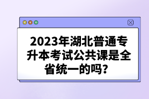 2023年湖北普通專升本考試公共課是全省統(tǒng)一的嗎？