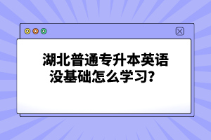 湖北普通專升本英語沒基礎(chǔ)怎么學(xué)習(xí)？