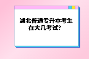 湖北普通專升本考生在大幾考試？