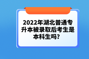 2022年湖北普通專升本被錄取后考生是本科生嗎？