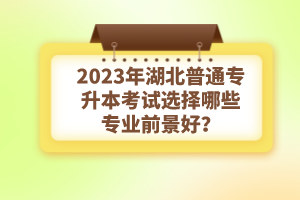 2023年湖北普通專(zhuān)升本考試選擇哪些專(zhuān)業(yè)前景好？