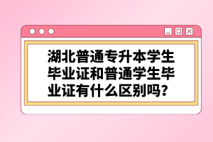 湖北普通專升本學生畢業(yè)證和普通學生畢業(yè)證有什么區(qū)別嗎？