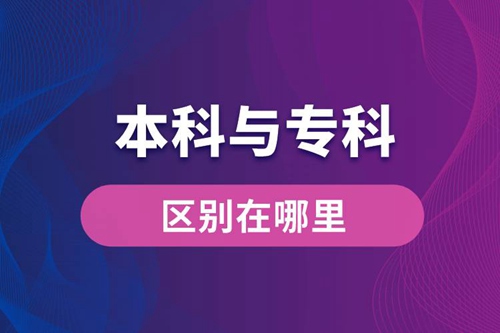 本科與?？频膮^(qū)別在哪里