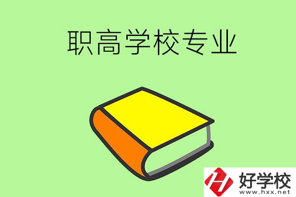 湖南省株洲市職高學(xué)校有哪些專業(yè)比較好？