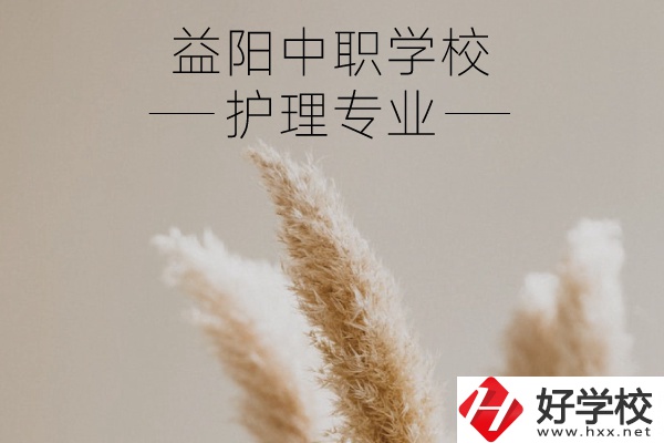 益陽(yáng)護(hù)理專業(yè)的中職學(xué)校有哪些？需要哪些要求？