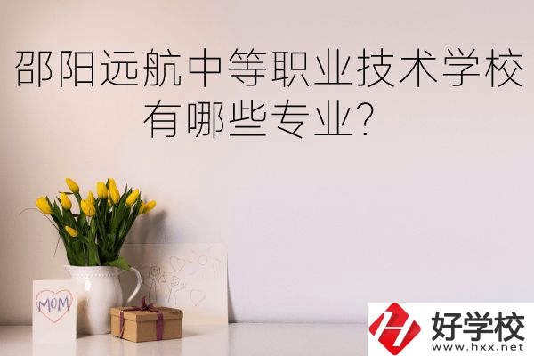 邵陽遠(yuǎn)航中等職業(yè)技術(shù)學(xué)校有哪些專業(yè)？