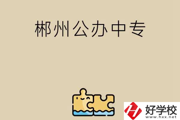 郴州公辦中專有哪些開設(shè)了電子商務(wù)專業(yè)？