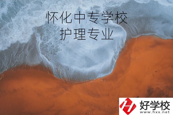 懷化有學護理專業(yè)的中專學校嗎？