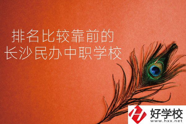 長(zhǎng)沙哪些民辦中職學(xué)校排名比較靠前？