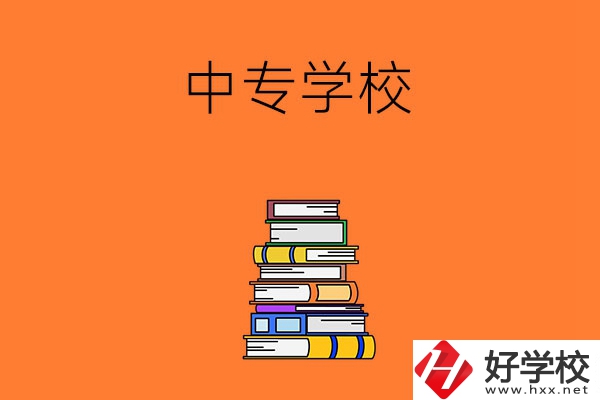 懷化市有哪些公立的中專學(xué)校？