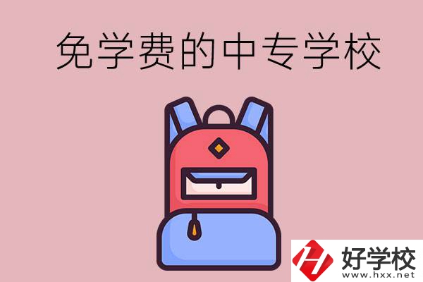 郴州市的中專哪些是免學(xué)費(fèi)的？