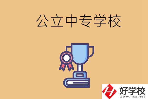 常德的公立中專學(xué)校有哪些？有什么特色？