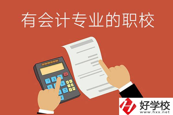 株洲哪些公立職校有會計(jì)專業(yè)？