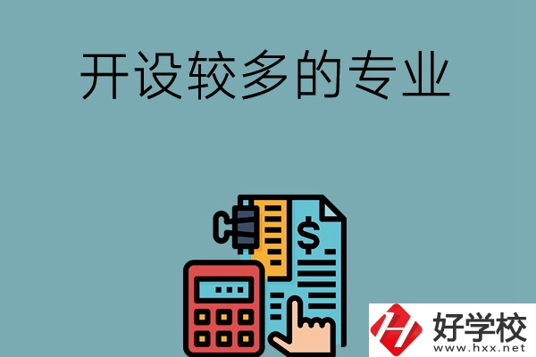 湖南的中職學(xué)校開設(shè)較多的專業(yè)是哪些？