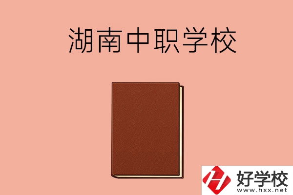 湖南有哪些就業(yè)率比較高的中職學(xué)校？