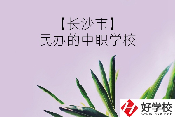 長(zhǎng)沙市有哪些民辦的中職學(xué)校？