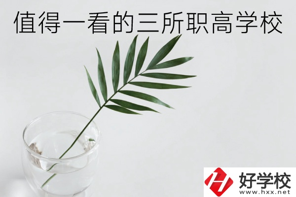 湖南有什么好的職高學(xué)校？這3所學(xué)校值得一看！