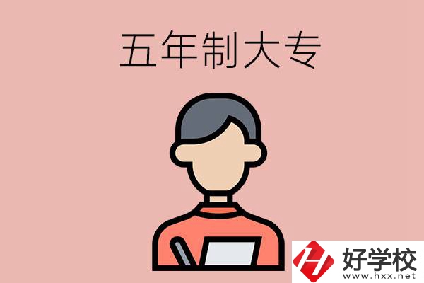 長(zhǎng)沙比較容易進(jìn)的五年制大專有哪些？