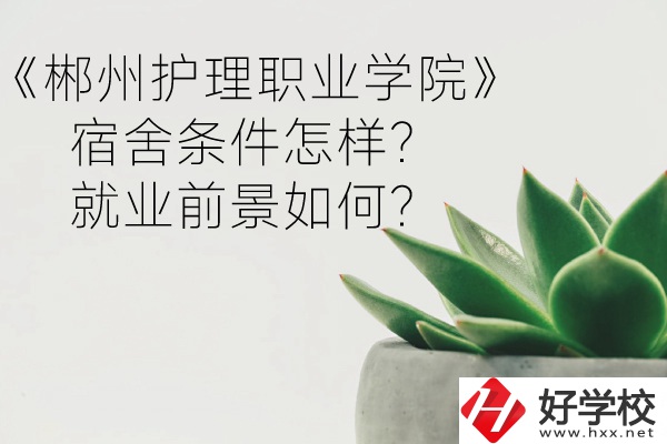 郴州護(hù)理職業(yè)學(xué)院宿舍條件怎樣？就業(yè)前景如何？