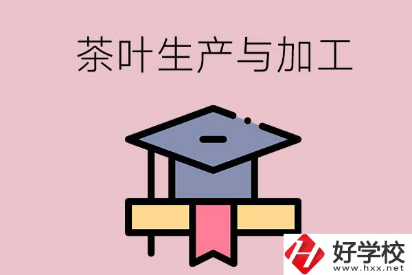 湖南哪些技校開設(shè)了茶葉生產(chǎn)與加工專業(yè)？