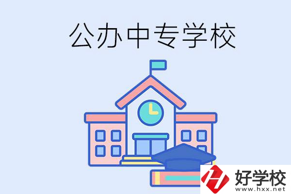 湘西一共有多少所公辦的中專學(xué)校？