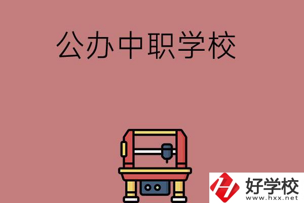 長沙可以學(xué)計(jì)算機(jī)應(yīng)用專業(yè)的公辦中職學(xué)校有哪些？