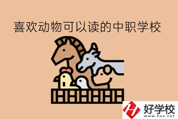 喜歡動物的學(xué)生，可以讀這些中職學(xué)校!