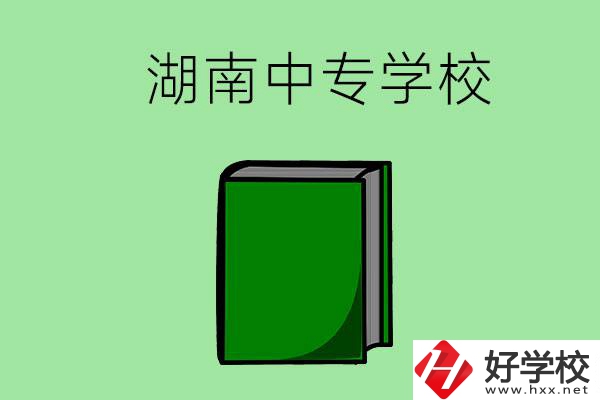 湖南的中專學(xué)校有哪些？都開設(shè)了哪些專業(yè)？