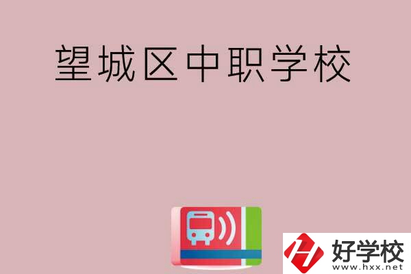 長(zhǎng)沙望城區(qū)有哪些中職學(xué)校？