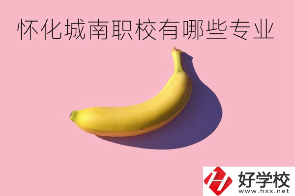 懷化城南職業(yè)學(xué)校有哪些專業(yè)？學(xué)校好不好？