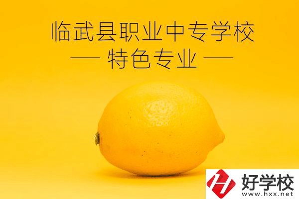 臨武縣職業(yè)中專學(xué)校好嗎？有哪些特色專業(yè)？