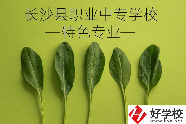 長(zhǎng)沙縣職業(yè)中專學(xué)校怎么樣？有什么特色專業(yè)？